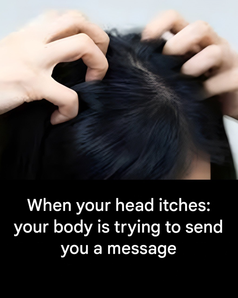 423685a0 8a57 4596 8364 0ca47902b668