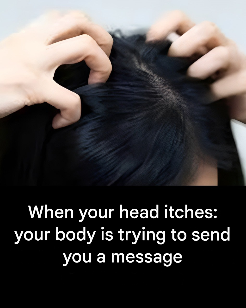 423685a0 8a57 4596 8364 0ca47902b668