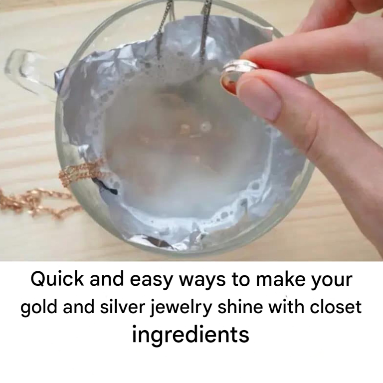 47dc9bc4 5d0e 4650 9435 28b2adc22d0a