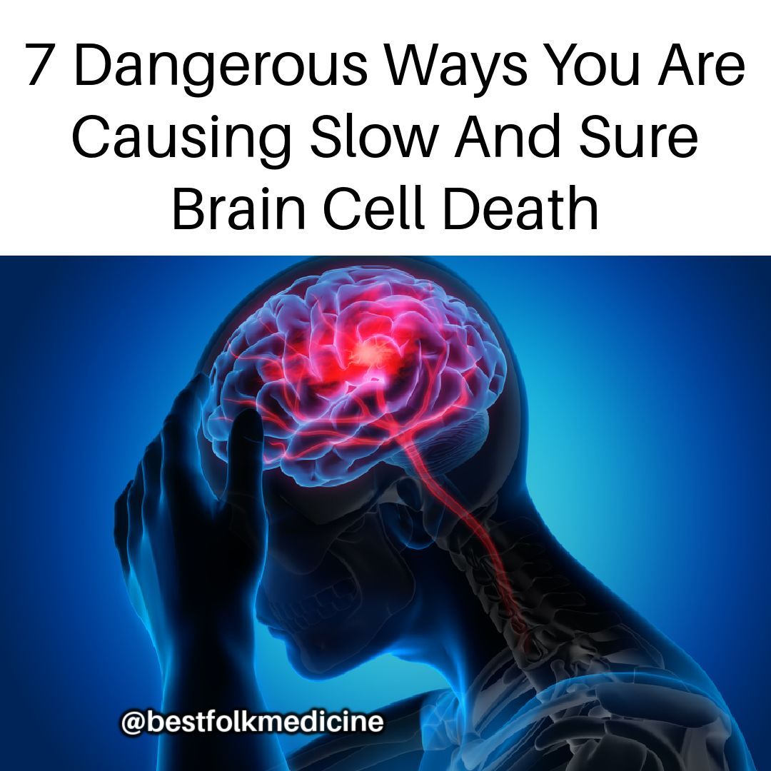 538544934 1190322806464440 5008169068468967828 N