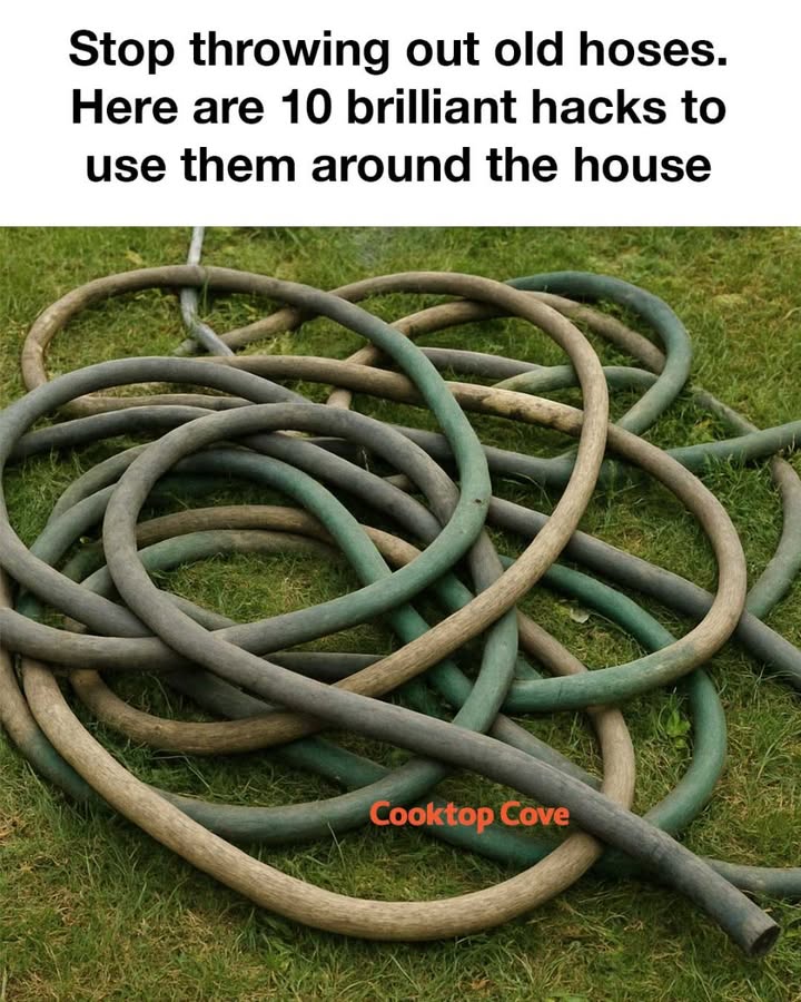 540845746 1210070271164351 6802635658284814541 N
