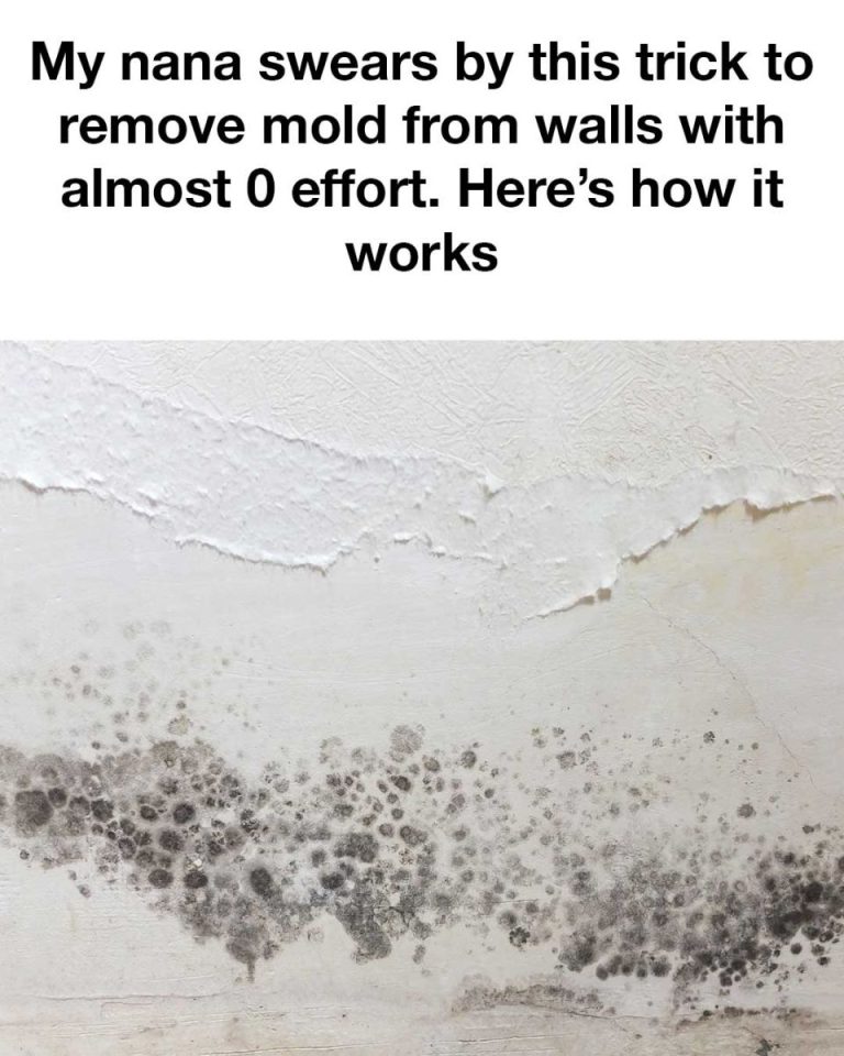 919fbbbaa37a480852cc07e0692c190b