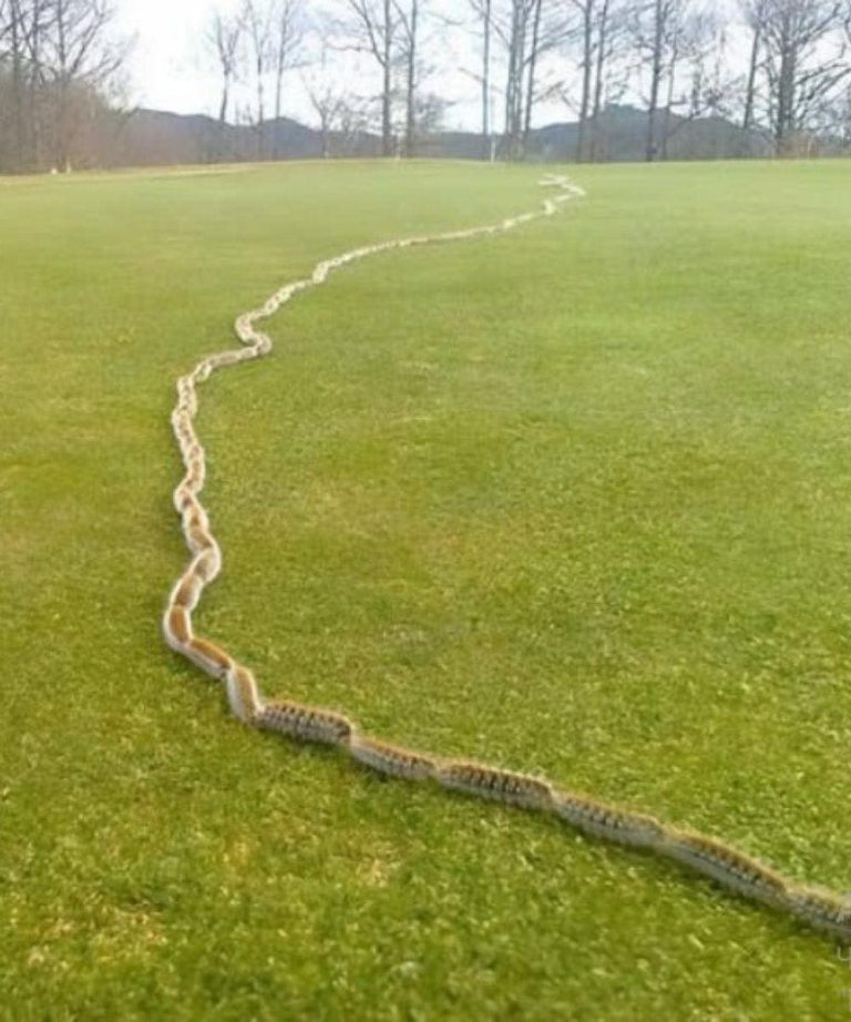 557699944 1772857213347933 3572792386229602689 N