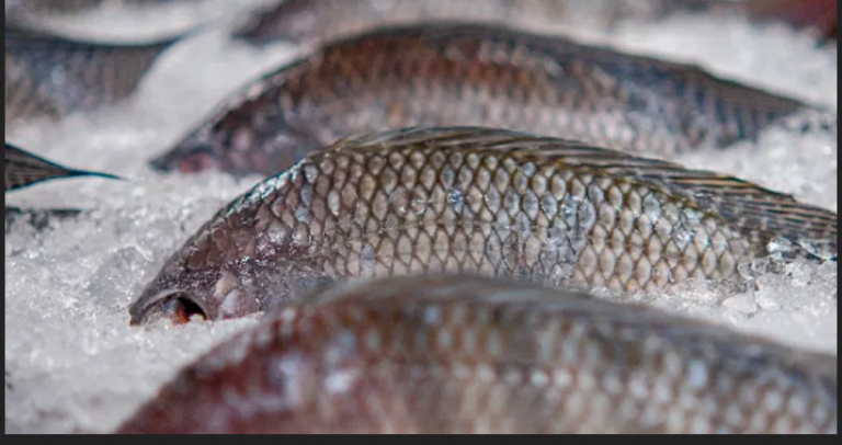 Capture D’écran 2025 10 21 123202